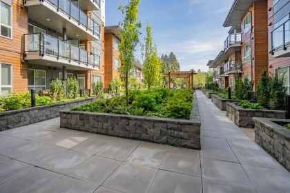 Photo 36 at 413 - 11655 Fraser Street, East Central, Maple Ridge