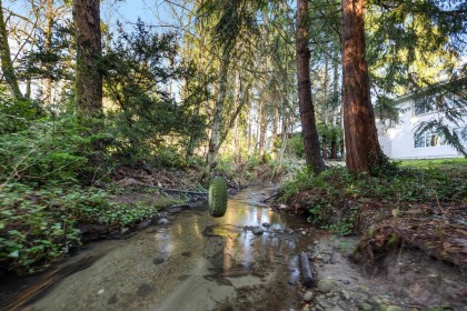 Photo 16 at 12037 208 Street, Northwest Maple Ridge, Maple Ridge