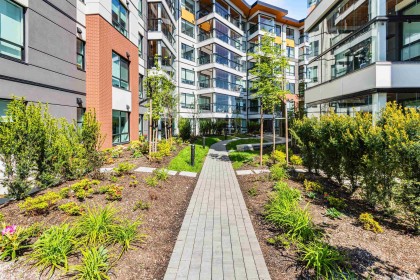 Photo 25 at 115 - 11641 227 Street, East Central, Maple Ridge