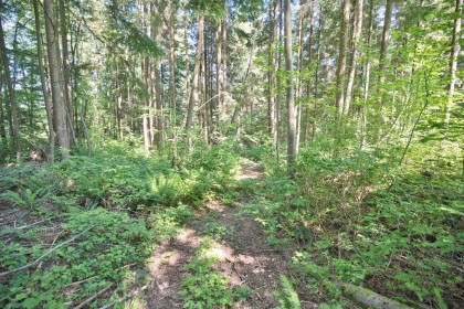 Photo 39 at 13100 Bell Street, Stave Falls, Mission