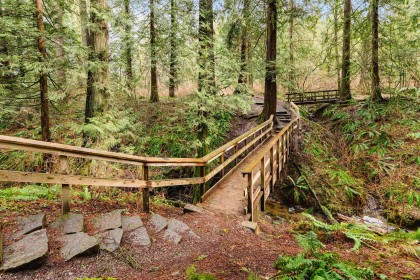 Photo 39 at 24387 101a Avenue, Albion, Maple Ridge