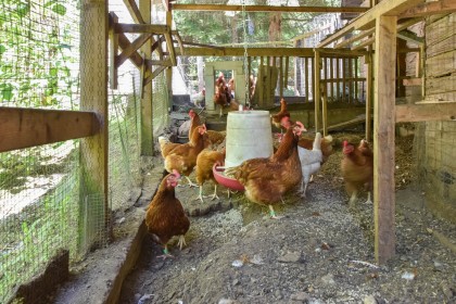 Photo 38 at 9921 Watt Street, Mission BC, Mission