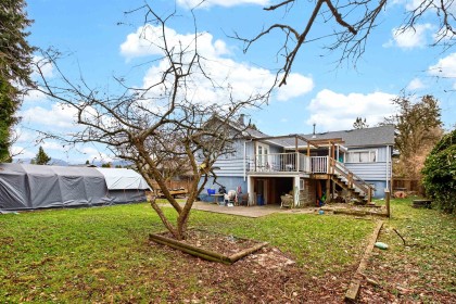 Photo 25 at 12141 230 Street, East Central, Maple Ridge