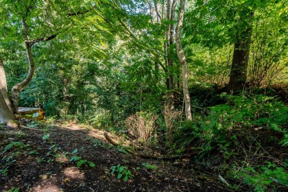 Photo 32 at 8528 Dunn Street, Hatzic, Mission