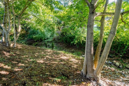 Photo 29 at 8528 Dunn Street, Hatzic, Mission