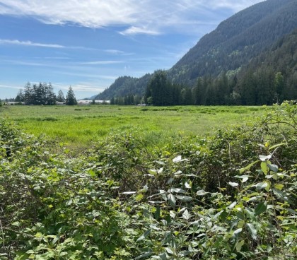 Photo 3 at 38205 Bell Road, Dewdney Deroche, Mission