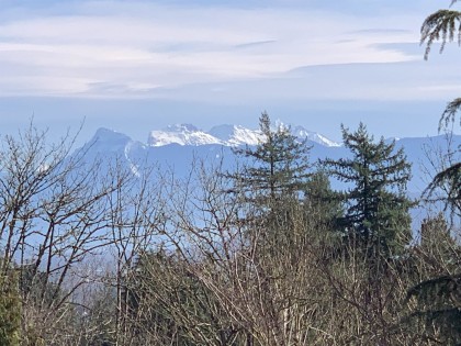 Photo 3 at 34639 Dunn Street, Hatzic, Mission