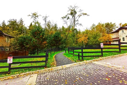 Photo 25 at 74 - 11305 240 Street, Cottonwood MR, Maple Ridge