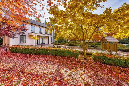 Photo 39 at 24 - 2423 Avon Place, Riverwood, Port Coquitlam