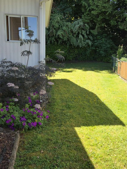 Photo 25 at 77 - 19630 Pinyon Lane, Central Meadows, Pitt Meadows