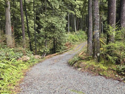Photo 6 at Lot 4 Williams Landing, Central Meadows, Pitt Meadows