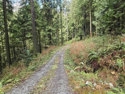 Photo 7 at Lot 4 Williams Landing, Central Meadows, Pitt Meadows