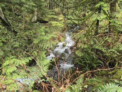 Photo 37 at Lot 4 Williams Landing, Central Meadows, Pitt Meadows