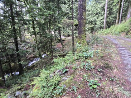 Photo 8 at Lot 4 Williams Landing, Central Meadows, Pitt Meadows