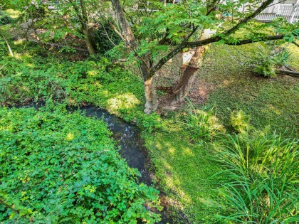 Photo 15 at 21034 Barker Avenue, Southwest Maple Ridge, Maple Ridge