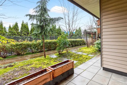 Photo 32 at 109 - 11935 Burnett Street, East Central, Maple Ridge
