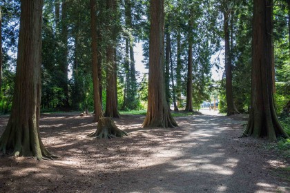 Photo 27 at 402 - 12079 Harris Road, Central Meadows, Pitt Meadows