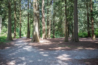 Photo 25 at 402 - 12079 Harris Road, Central Meadows, Pitt Meadows