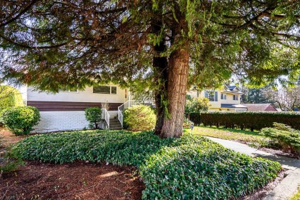 Photo 5 at 3726 Sefton Street, Oxford Heights, Port Coquitlam