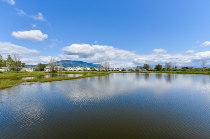 Photo 38 at 9 - 998 Riverside Drive, Riverwood, Port Coquitlam