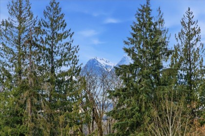 Photo 22 at 25507 Bosonworth Avenue, Thornhill MR, Maple Ridge