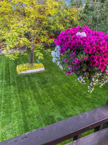 Photo 33 at 846 Wright Avenue, Lincoln Park PQ, Port Coquitlam