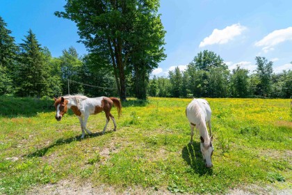Photo 39 at 28555 104 Avenue, Whonnock, Maple Ridge