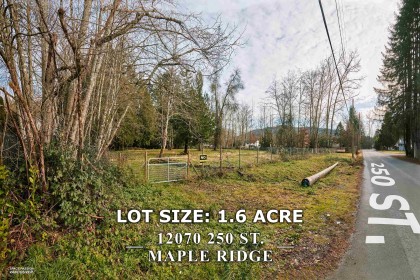 Photo 3 at 12070 250 Street, Websters Corners, Maple Ridge