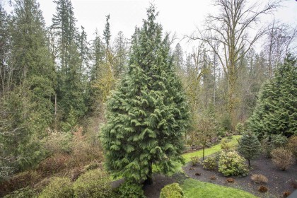 Photo 16 at 64 - 24185 106b Avenue, Albion, Maple Ridge