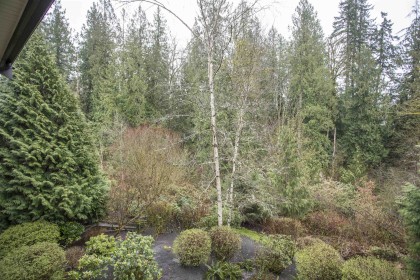 Photo 18 at 64 - 24185 106b Avenue, Albion, Maple Ridge