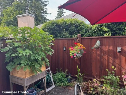 Photo 34 at 2 - 11934 Laity Street, West Central, Maple Ridge