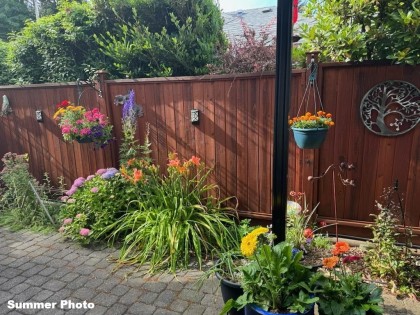 Photo 33 at 2 - 11934 Laity Street, West Central, Maple Ridge