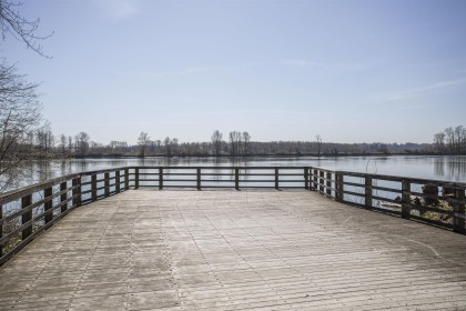 Photo 37 at 69 - 19572 Fraser Way, South Meadows, Pitt Meadows