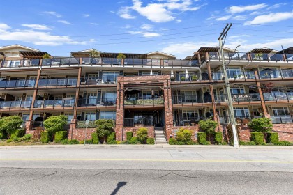 Photo 1 at 311 - 22327 River Road, West Central, Maple Ridge