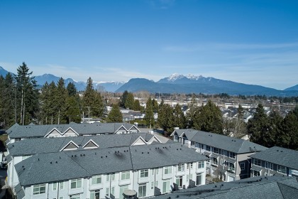 Photo 26 at 17 - 19696 Hammond Road, South Meadows, Pitt Meadows