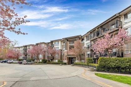 Photo 1 at 116 - 11665 Haney Bypass, West Central, Maple Ridge
