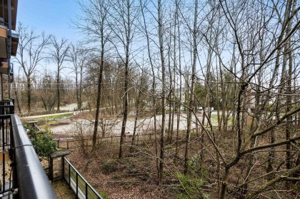 Photo 18 at 311 - 2465 Wilson Avenue, Central Pt Coquitlam, Port Coquitlam