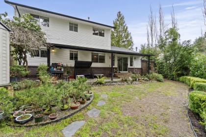 Photo 35 at 12326 234 Street, East Central, Maple Ridge