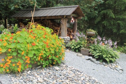 Photo 39 at 24400 130 Avenue, Silver Valley, Maple Ridge