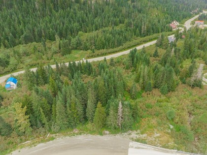 Photo 13 at 20478 Edelweiss Drive, Hemlock, Mission