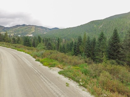 Photo 3 at 20478 Edelweiss Drive, Hemlock, Mission