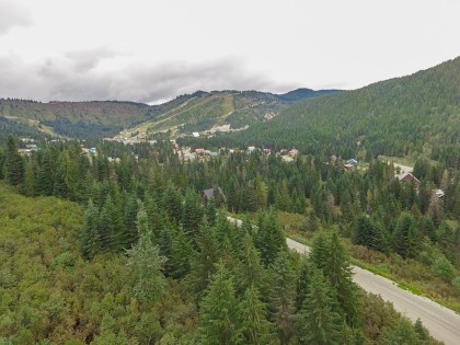 Photo 5 at 20478 Edelweiss Drive, Hemlock, Mission