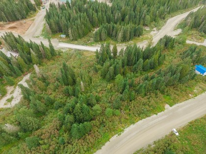 Photo 18 at 20478 Edelweiss Drive, Hemlock, Mission