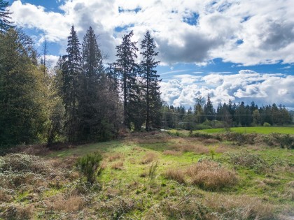 Photo 5 at 25655 Lougheed Highway, Thornhill MR, Maple Ridge