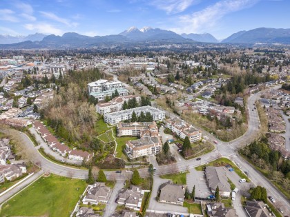 Photo 39 at 208 - 22611 116 Avenue, East Central, Maple Ridge