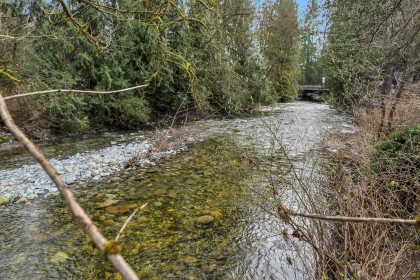 Photo 35 at 13292 232 Street, Silver Valley, Maple Ridge