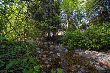 Photo 34 at 4067 Sefton Street, Oxford Heights, Port Coquitlam