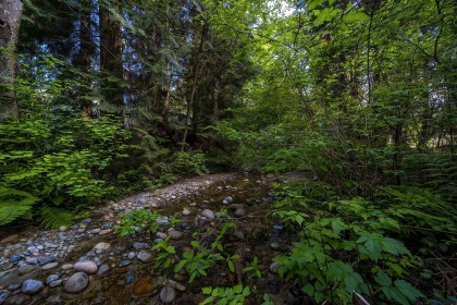 Photo 33 at 4067 Sefton Street, Oxford Heights, Port Coquitlam