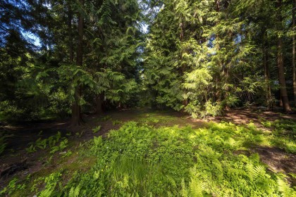 Photo 31 at 4067 Sefton Street, Oxford Heights, Port Coquitlam