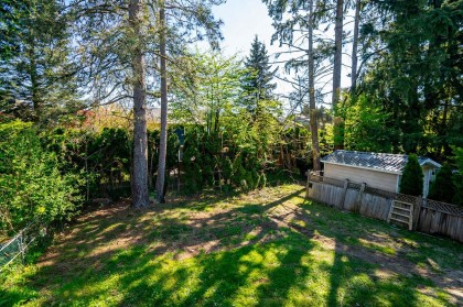 Photo 19 at 21528 Donovan Avenue, West Central, Maple Ridge